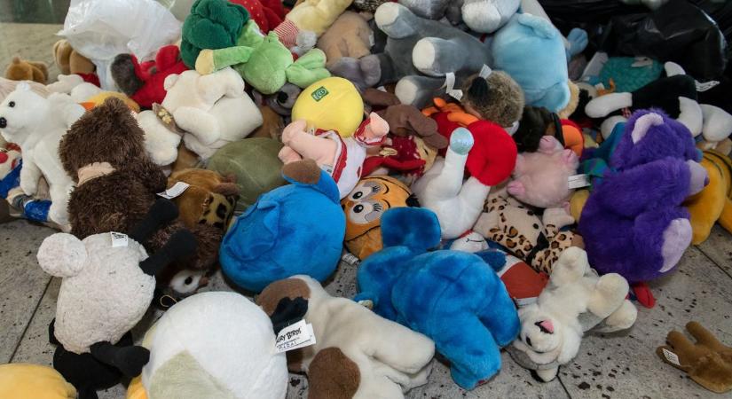 Kaposvár tele van szeretettel – találd meg a 50 elrejtett plüsst az Ölelés Világnapján!