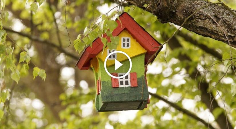 Téli madárlakoma: így készíts tartós madáretetőt otthon