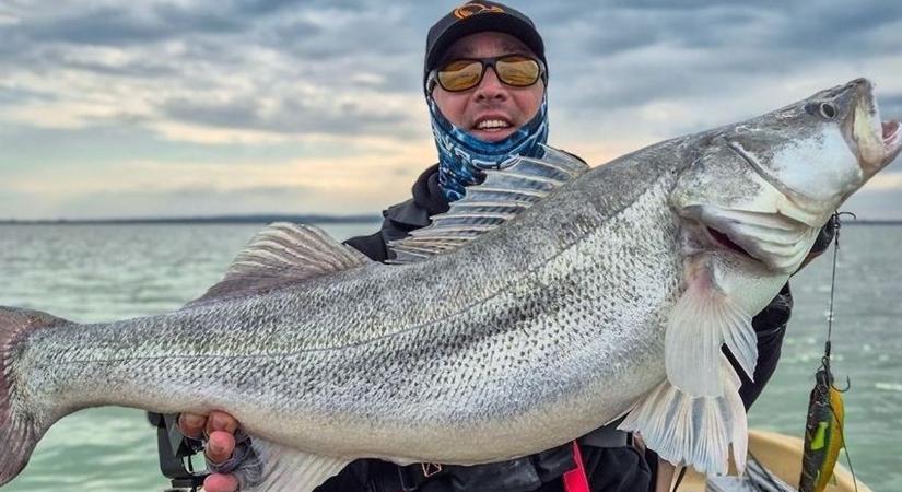Süllőkirálynővel találkozott a horgásztúra-vezető a Balatonnál