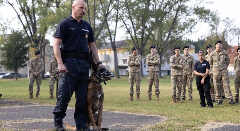 Fegyverek, kutyák és huszárok – látványos pályaorientációs nap Komáromban
