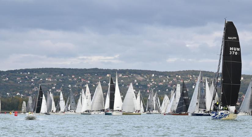 René Raffica nyerte a Szüreti Regattát