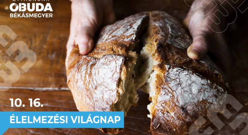 Kedvezményes vásárok, adománygyűjtő akciók, utalványosztások a kerületben  Október 16. az élelmezési világnap