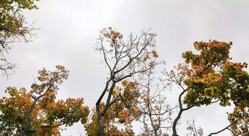 Ilyen időnk lesz csütörtökön Győrben