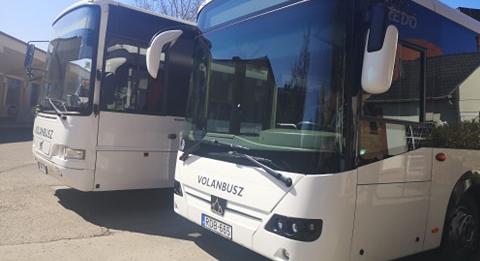 Nehezítik a Tisza Párt buszbérlését október 23-ára? – vásárhelyi civilek mindenesetre falakba ütköztek