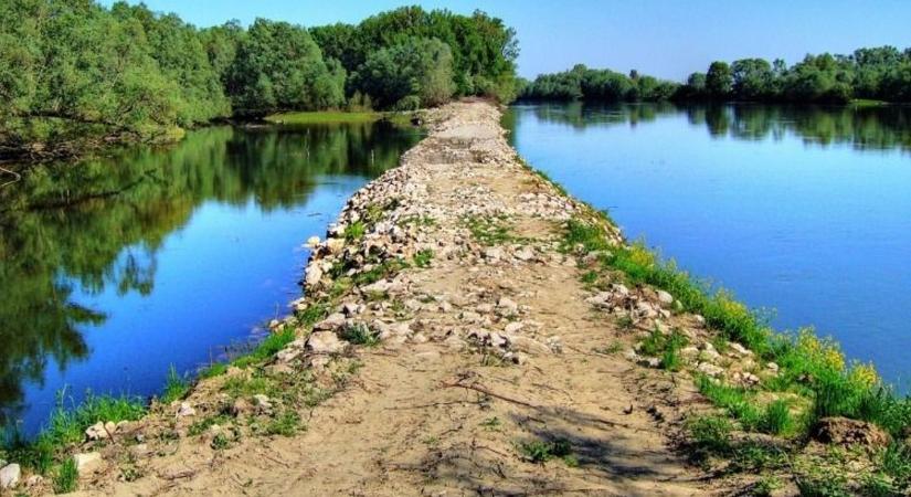Riasztás: a Drávában, a sekély vízben találtak egy 50 éves nőre