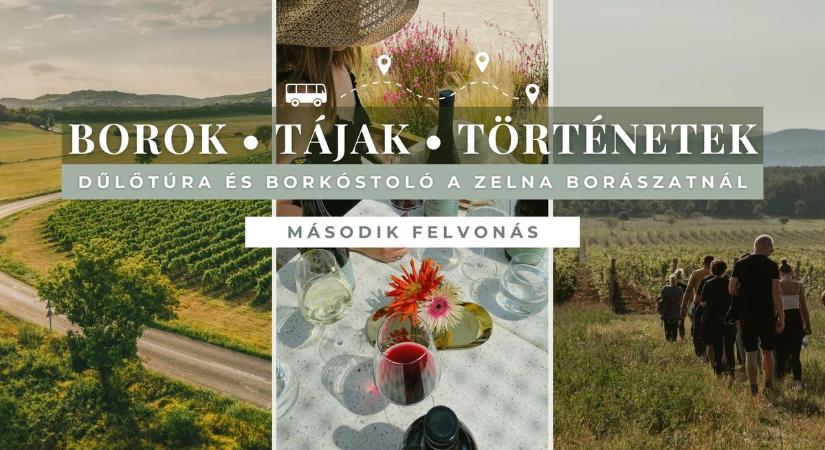 Bor, panoráma, történetek – Zelna túra Balatonfüreden