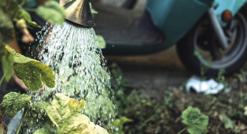 Klímaváltozás: háttérbe szoruló aggodalom az EU-ban