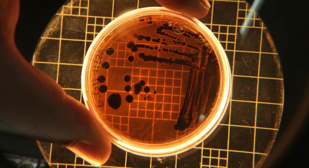 Végre valami hasznosat csinált az MI