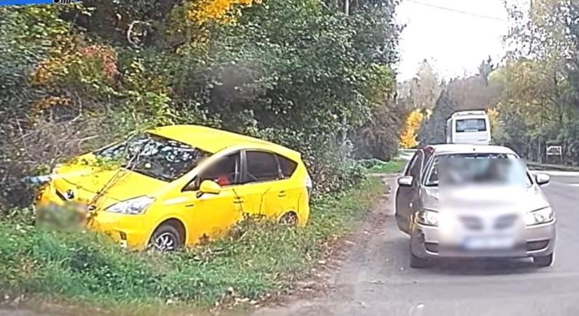 Inkább a bokrokat választotta a taxis a karambol helyett – videó