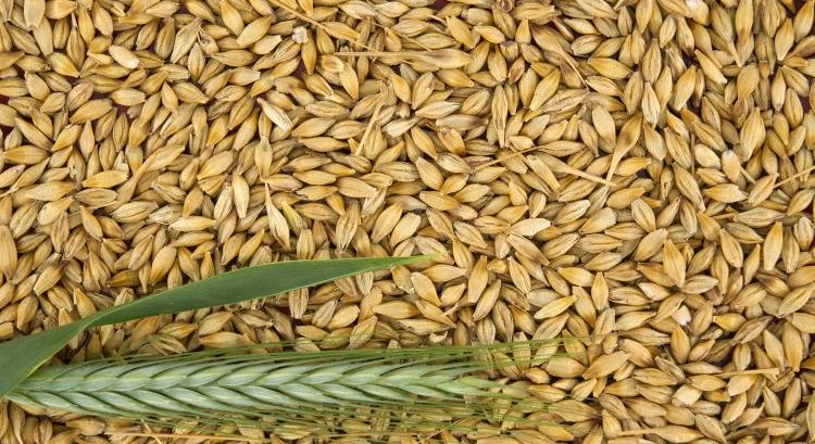 Meghajolnak Peking előtt az ausztrálok – ez nekünk is jó