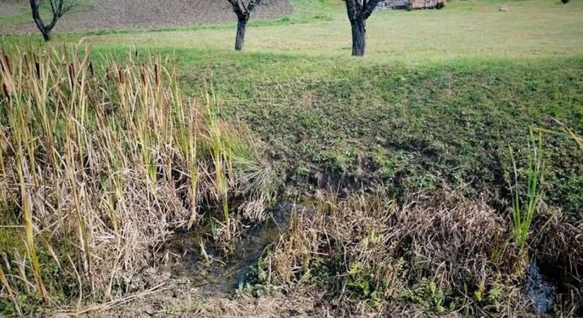 Mi lesz ennek a vége? Szinte teljesen eltűnt egy komplett patak Eger mellett