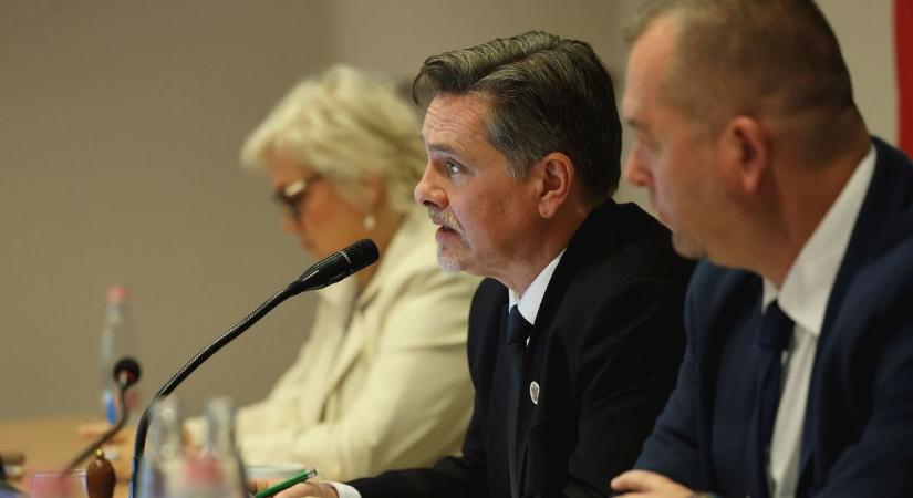 Miskolc új rendelettel védi káprázatos platánjait