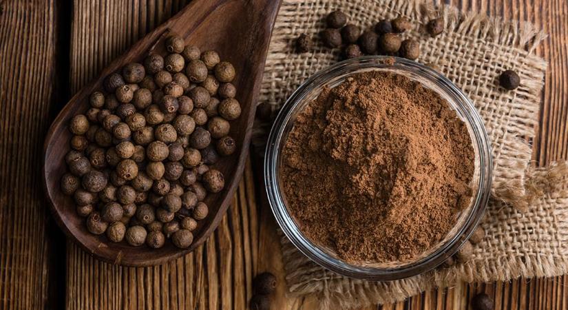 Megfizethető megoldások a húsfeldolgozás szerelmeseinek