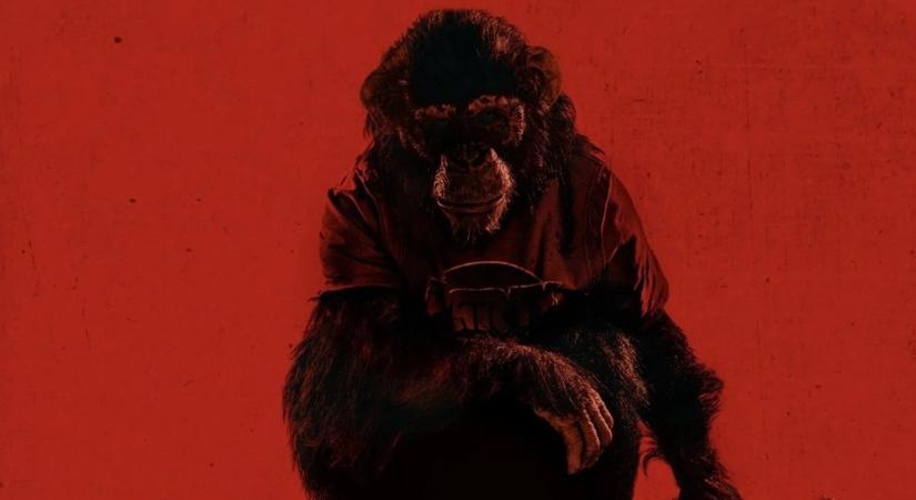 Előzetesen a Primate, amiben egy veszett csimpánz szabadul el