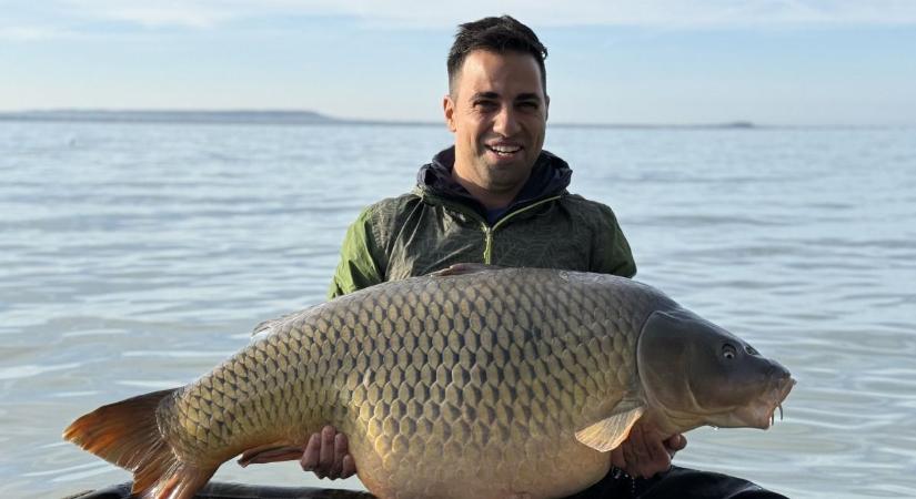 Óriási pontyot fogtak a Balatonon, akkora mint egy tízéves gyerek