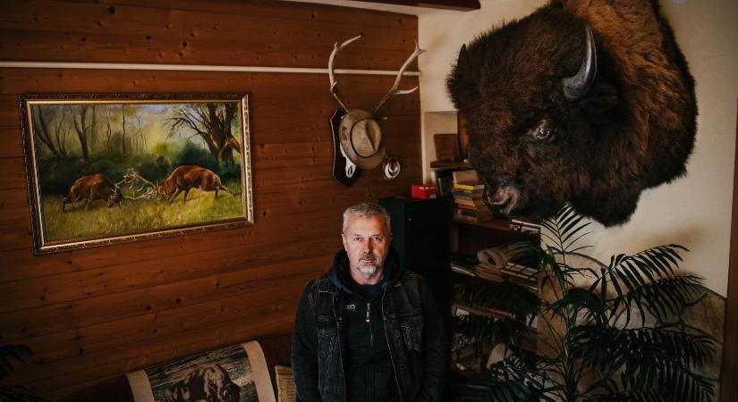 Samu igencsak kitett magáért – A kaposmérői Vadnyugaton már amerikai bölények vigyáznak a kutyákra