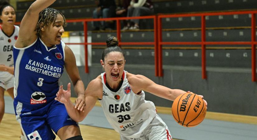 A Kenguruk fölényes győzelmétől hangos a kosárlabda-közvélemény