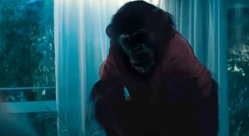 Egy csimpánzból lesz sorozatgyilkos a Primate című horror első előzetesében