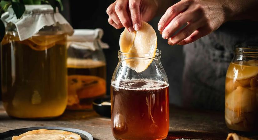 Kombucha, a csodaital? Cseh szakértők utánajártak – az eredmény meglepő!