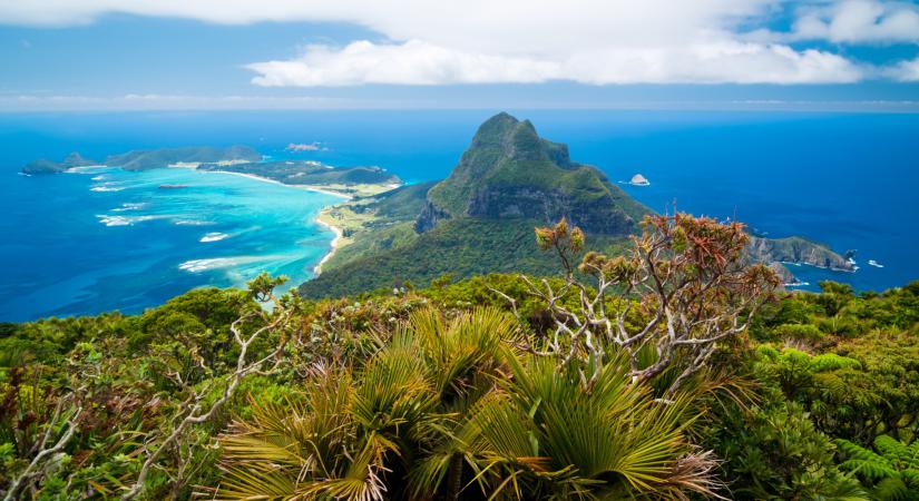 Lesújtó bizonyítékok: elkezdtek szén-dioxid-kibocsátóvá válni már az őserdők is