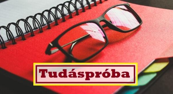 Tudáspróba kvíz: Nyolc jó kattintás és egy kis mosoly (797)