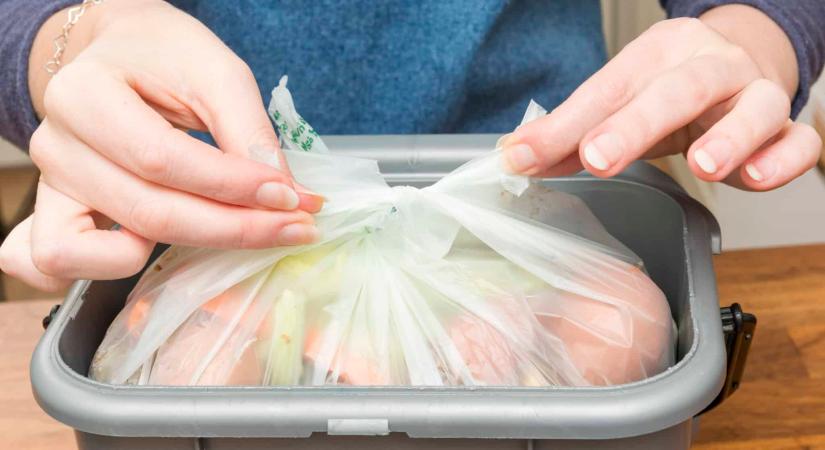 Fogadjunk, hogy ez nálad is mindig a kukában landol – pedig a beleid imádnák
