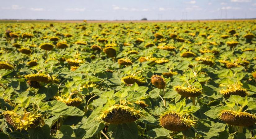 Szürkül az ég, de nem dől össze a világ pénteken