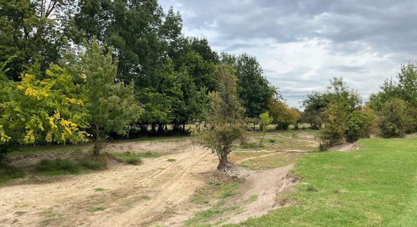 Elszomorító a helyzet, egy csepp víz sem maradt ebben a Jászkunság melletti folyóban