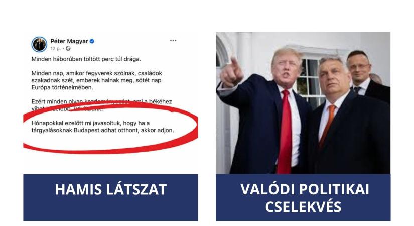 Magyar Péter vs. Google: az internet sem felejt