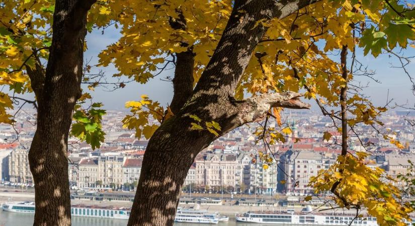 Őszi nyugalom pénteken – 12–18 fok között alakul a hőmérséklet