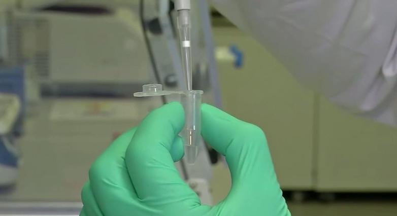 Hónapok óta nem csökken a Hepatitis A fertőzések száma Drégelypalánkon