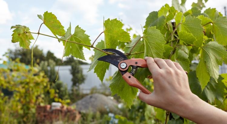 Fenntartható csomagolás – ráadásul duplán környezetbarát