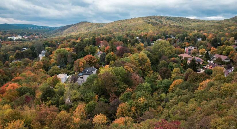 Apáthy-szikla – mesés őszi panoráma Budapest felett