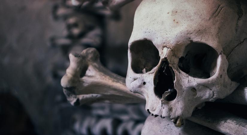 Meglepően pontosan kiszámolták: 314 év és kihal az emberiség