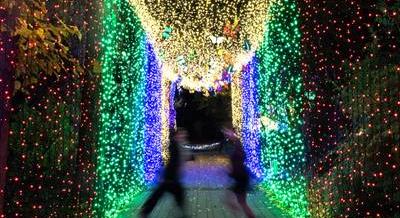 Ingyenes drónshow a Füvészkertben – Nyit a Pán Péterre hangolt Garden of Lights