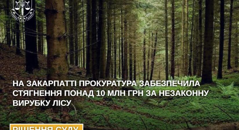 A kárpátaljai ügyészség több mint 10 millió hrivnya kártérítést hajtott be az illegális fakivágások miatt