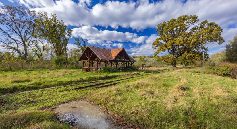 EU-s 800 millióból dobják fel az Magyarország legvadregényesebb ártéri erdejét: ezt tervezik