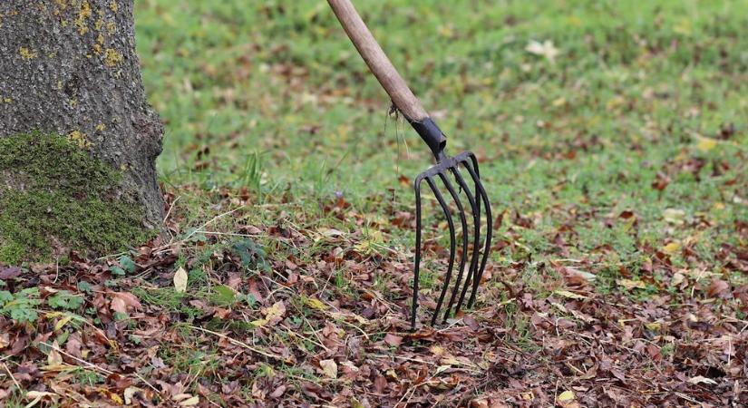 Őszi titkos élet a föld alatt – mit csinálnak ilyenkor a giliszták, vakondok és társaik?