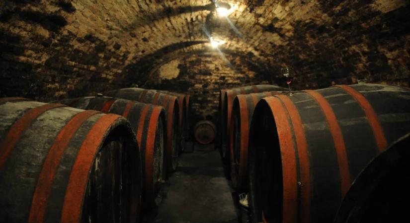 Márton-napi pincejárás a Pannonhalmi Borvidéken 2025