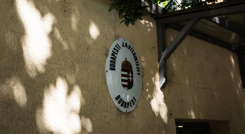 21 Kutatóközpont: A Fidesz-szavazók 69 százaléka bízik a gyermekvédelmi intézményekben