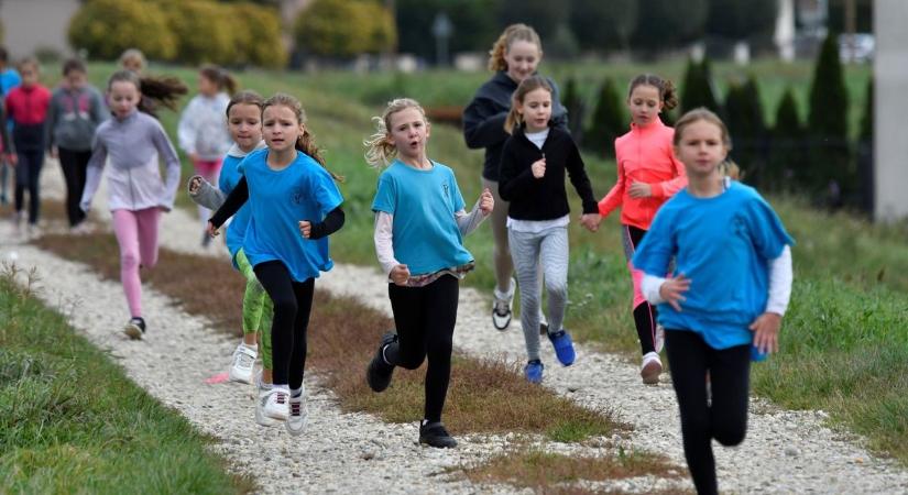 Mezei futóverseny: mintegy háromszázan álltak rajthoz - Képgaléria