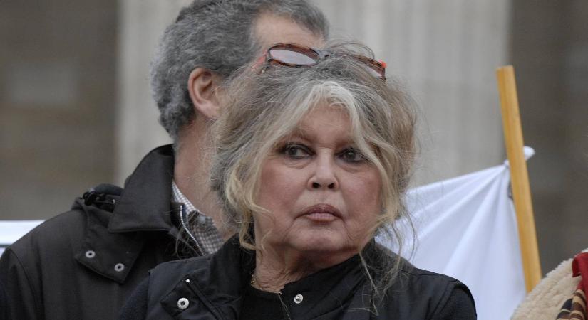 Brigitte Bardot kritikus állapotban került kórházba: meg kellett műteni
