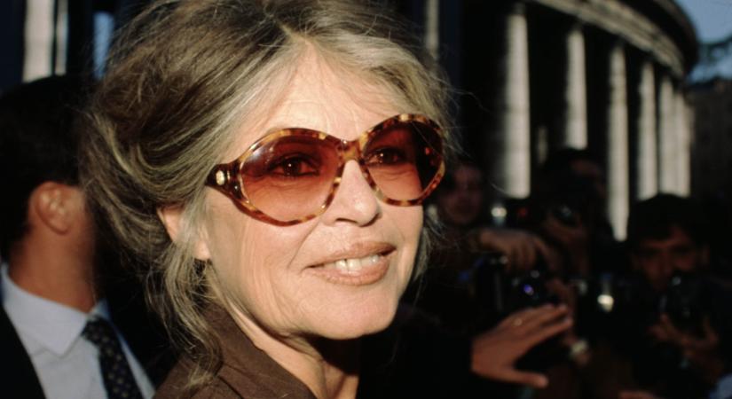 A 91 éves Brigitte Bardot súlyos betegség miatt került kórházban – azonnal műteni kellett