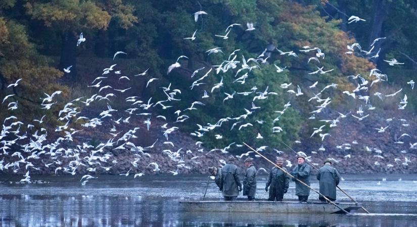 A Rozmberk halastó Csehországban