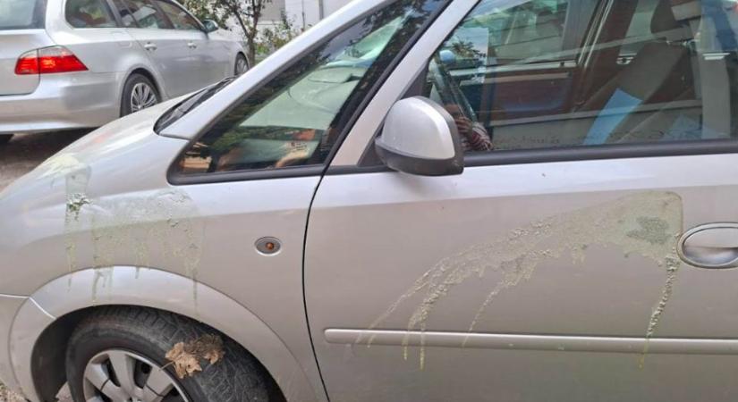 Savval öntötték le a Zöld-Baloldali Front tagjának kocsiját