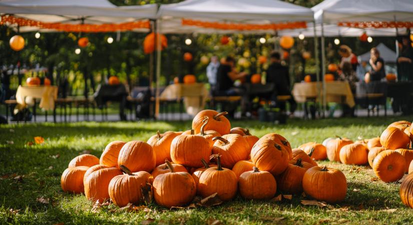 Tök jó nap lesz: faragás, vásár, tökös finomságok - kell ennél tökösebb program a hétvégére?