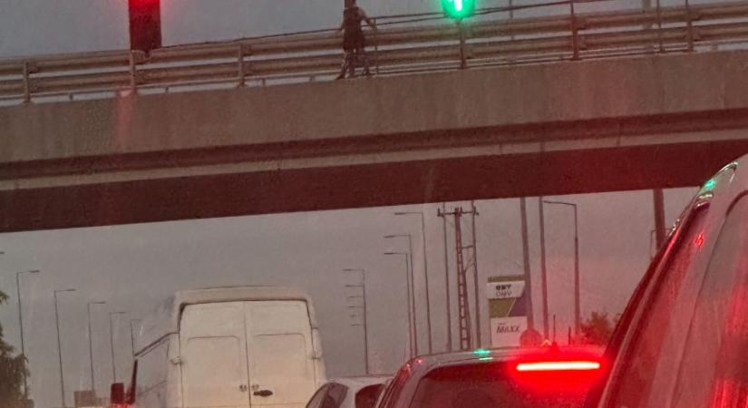 A felüljáró szalagkorlátjába kapaszkodott Miskolcon