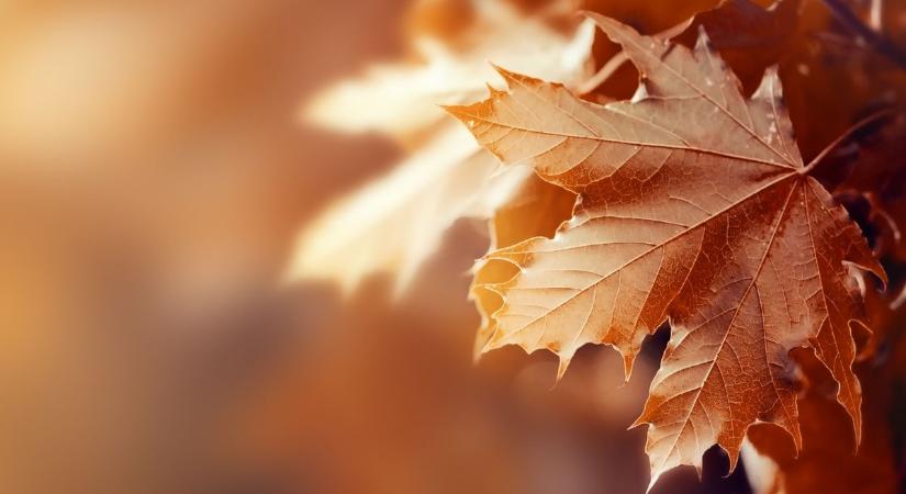 Változékony lesz a szombat Fejérben