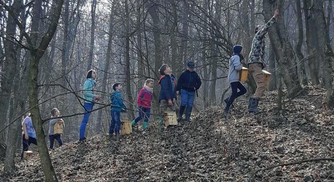 A diákok a szarvastól a denevérig mindennel találkoznak – így működik egy általános iskola az erdőben