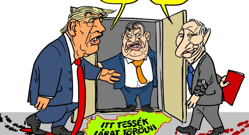 Lábtörlő